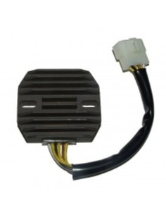 ELECTROSPORT Regulator ESR 263 ZX-6R Ninja (98-99) VN800 2