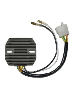 ELECTROSPORT Regulator ESR 240 2