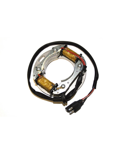 ELECTROSPORT Stator ESC 8081 Suzuki RM div.