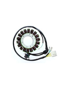 ELECTROSPORT Stator ESG 168 Honda VTX1300R / VTX1300S / VTX1300
