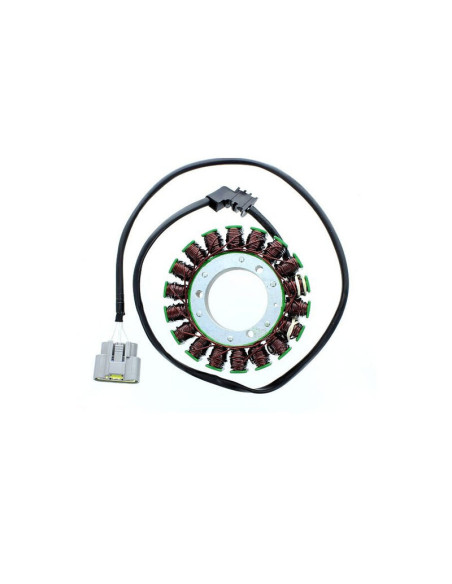 ELECTROSPORT Stator ESG 131 FJR 1300 (06-13)5