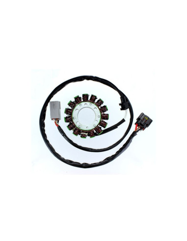 ELECTROSPORT Stator ESG549 Kawasaki VN 900, 06-15