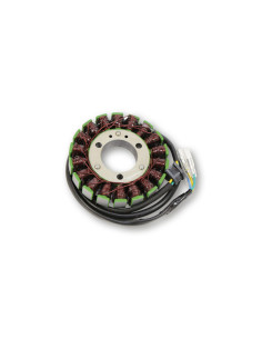 ELECTROSPORT Stator ESG024 2