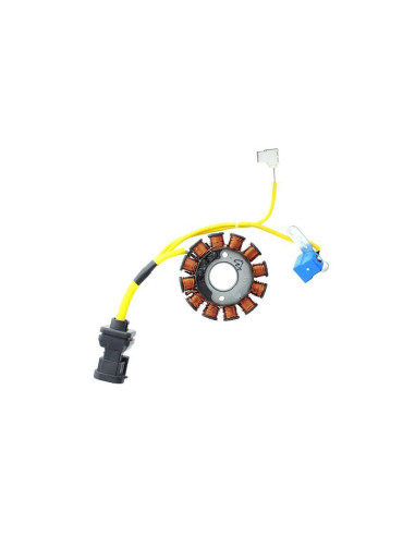 ELECTROSPORT Stator ESG 194 Aprilia-Vespa-Piaggio