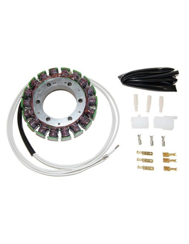 ELECTROSPORT Stator S09