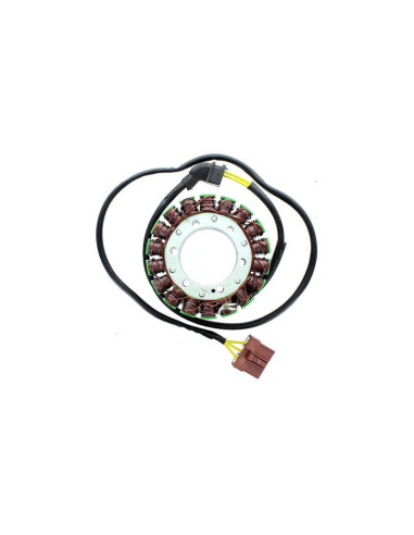 ELECTROSPORT Stator ESG 999 Aprilia RSV R 1000/Factory (04-09)/