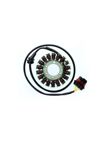 ELECTROSPORT Stator ESG 306 CAN AM