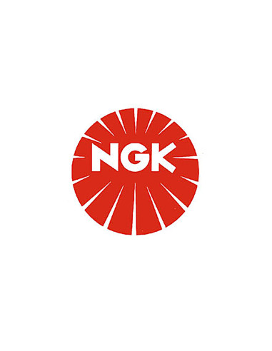 NGK Spark Plug NGK CPR6EB-9