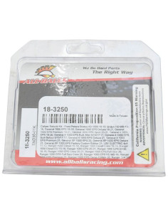 Kit de réparation d'étrier de frein ALL BALLS 2