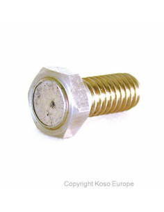 KOSO Magnet screw for brake disk (M8 x P1.25 x 29L) 2