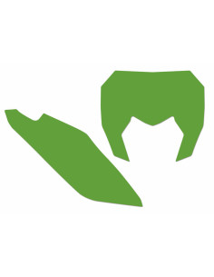 Fonds de plaque BLACKBIRD vert Sherco SE/SE-F 2