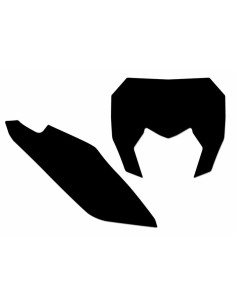 Fonds de plaque BLACKBIRD noir Sherco SE/SE-F 2