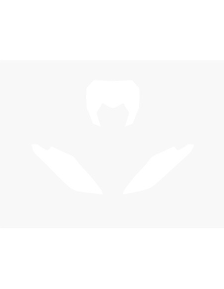 Fonds de plaque BLACKBIRD blanc Fantic XE