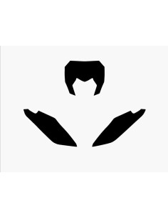 Fonds de plaque BLACKBIRD noir Fantic XX