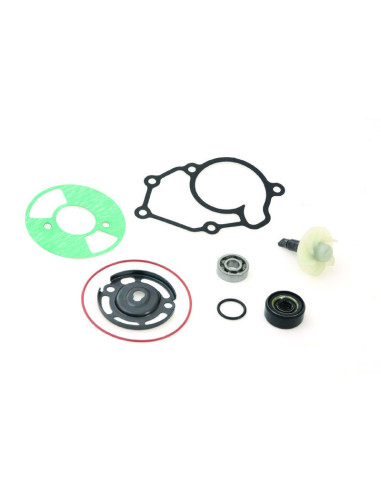 Kit réparation de pompe à eau TOP PERFORMANCES