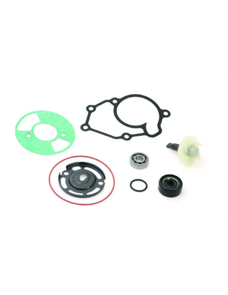 Kit réparation de pompe à eau TOP PERFORMANCES