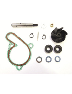 Kit réparation de pompe à eau TOP PERFORMANCES 2
