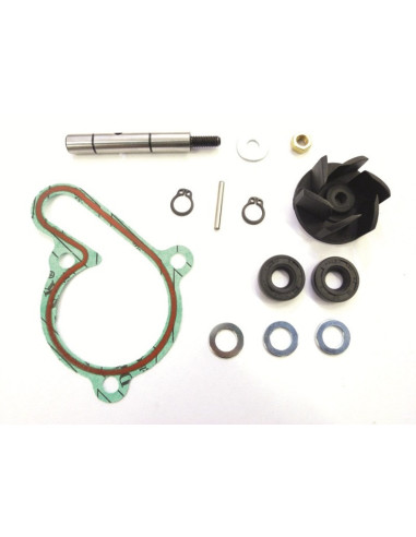 Kit réparation de pompe à eau TOP PERFORMANCES