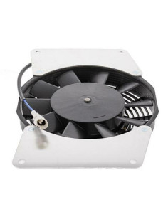 Ventilateur de radiateur ALL BALLS 2