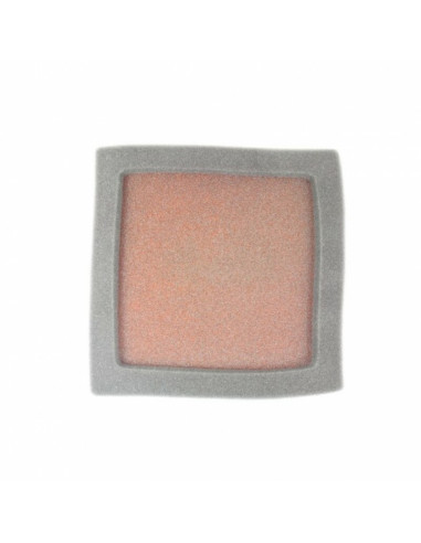 Filtre à air TWIN AIR kit Powerflow 797550 - 156141FR 797550 Polaris Predator 500