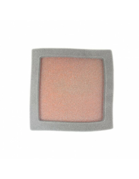 Filtre à air TWIN AIR kit Powerflow 797550 - 156141FR 797550 Polaris Predator 500