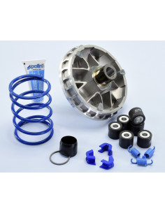 Variateur POLINI Hi-Speed - SYM Joymax-Cruisym 250/300 2