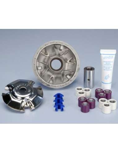 Variateur POLINI Hi-Speed - Yamaha Xmax 125/MBK Cityliner