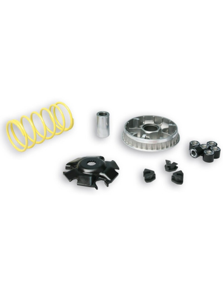 Variateur MALOSSI Multivar 2000