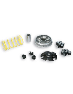 Variateur MALOSSI Multivar 2000 2