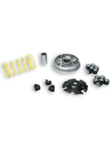 Variateur MALOSSI Multivar 2000