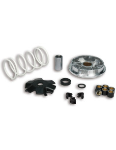 Variateur MALOSSI Multivar 2000 - scooter 50 4T 2