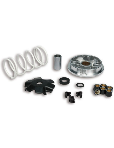 Variateur MALOSSI Multivar 2000 - scooter 50 4T