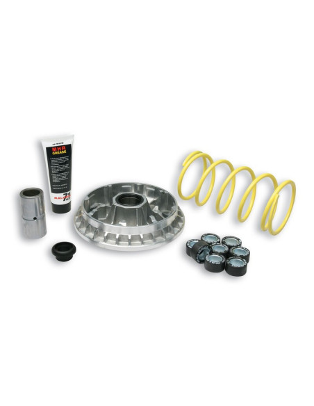 Variateur MALOSSI Multivar 2000