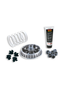 Variateur MALOSSI Multivar 2000 2