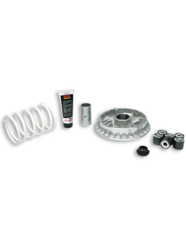 Variateur MALOSSI Multivar 2000 - Kymco Xciting 500