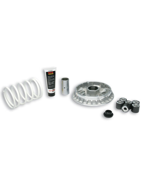 Variateur MALOSSI Multivar 2000 - Kymco Xciting 500