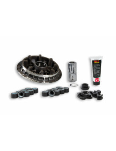 Variateur MALOSSI Multivar - Yamaha Tmax 530 2