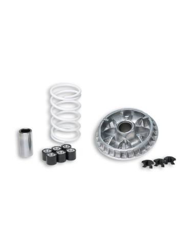 Variateur MALOSSI Multivar 2000