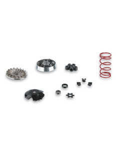 Variateur MALOSSI Multivar - Yamaha-MINARELLI