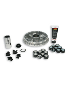 Variateur MALOSSI Multivar 2000