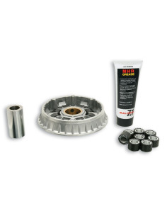 Variateur MALOSSI Multivar 2000