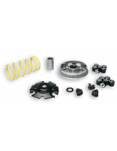 Variateur MALOSSI Multivar 2000 (moteur GY6) 2