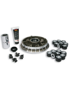 Variateur MALOSSI Multivar 2000 - BMW C600 - 650 2