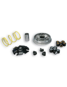 Variateur MALOSSI Multivar 2000 - Honda 2