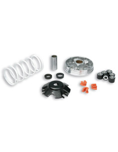 Variateur MALOSSI Multivar 2000 - Piaggio 50 2/4T 2
