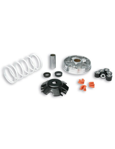 Variateur MALOSSI Multivar 2000 - Piaggio 50 2/4T