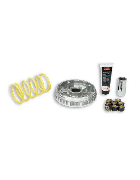 Variateur MALOSSI Multivar 2000