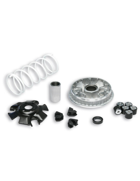 Variateur MALOSSI Multivar 2000 - Suzuki