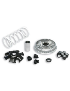 Variateur MALOSSI Multivar 2000 - Suzuki 2