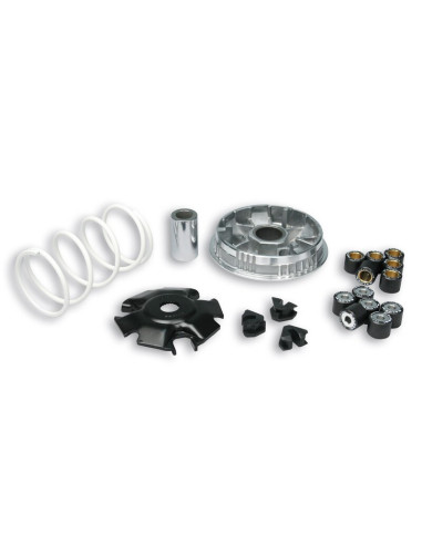 Variateur MALOSSI Multivar 2000